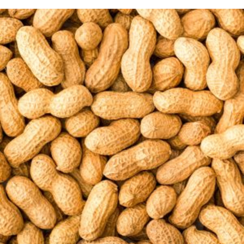 Inshell Peanuts
