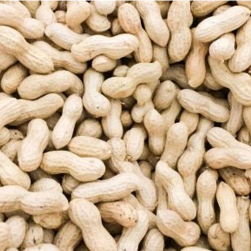 Inshell Peanuts