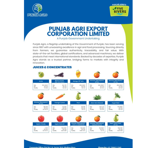 Kinnow Concentrate 64 Brix