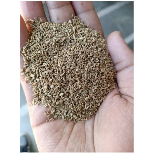 Carom Seeds (Ajwain)