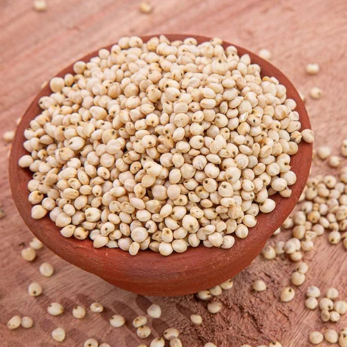Jawar (Sorghum)