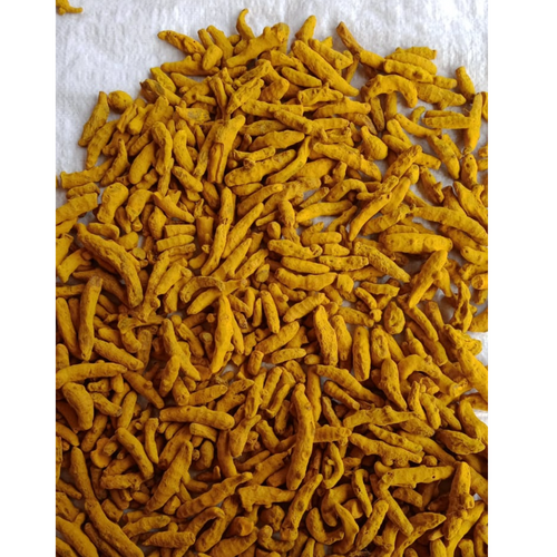 Turmeric