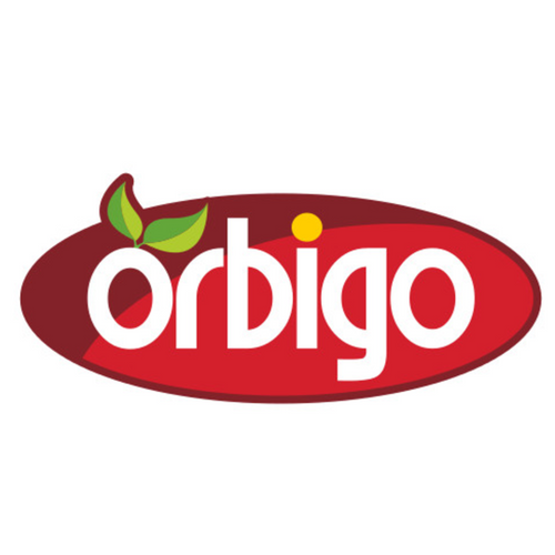Orbigo