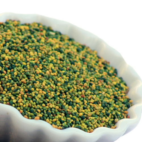 Persian Clover Seed, Trifolium resupinatum, Reversed Clover, Red Clover, Resupinate Clover,