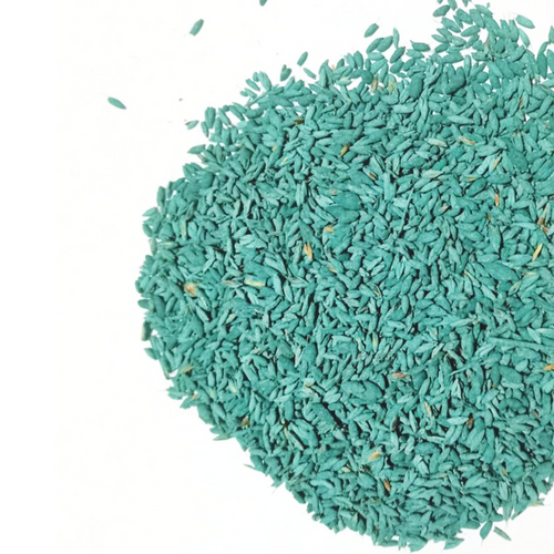 Rhodes Grass seeds, Chloris gayana, Rhodes Hay Grass, Austrailian Rhodes Grass