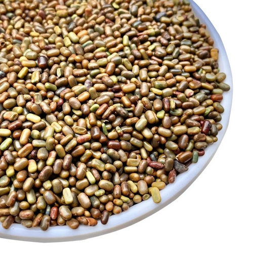 Sesbania Seeds, Sesbania bispinosa, Sesban Seeds, Sesbania aculeata Seeds, Sesbania aculeata Seeds,