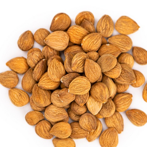 Dried Aprikot Kernels, Prunus armeniaca, Apricot Seed, Khubani Giri, Khubani Beej