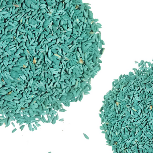 Rhodes Grass seeds, Chloris gayana, Rhodes Hay Grass, Austrailian Rhodes Grass