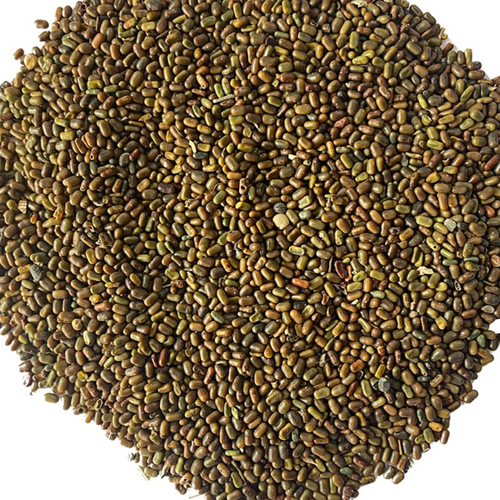 Sesbania Seeds, Sesbania bispinosa, Sesban Seeds, Sesbania aculeata Seeds, Sesbania aculeata Seeds,
