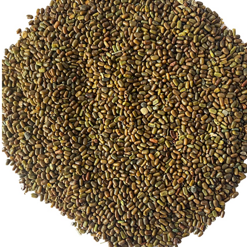 Sesbania Seeds, Sesbania bispinosa, Sesban Seeds, Sesbania aculeata Seeds, Sesbania aculeata Seeds,