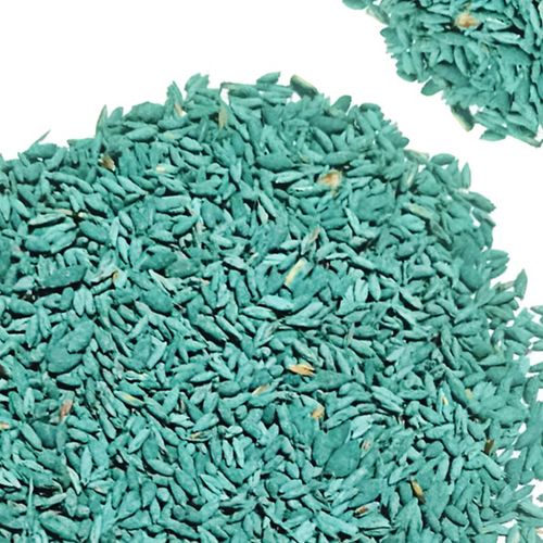 Rhodes Grass seeds, Chloris gayana, Rhodes Hay Grass, Austrailian Rhodes Grass