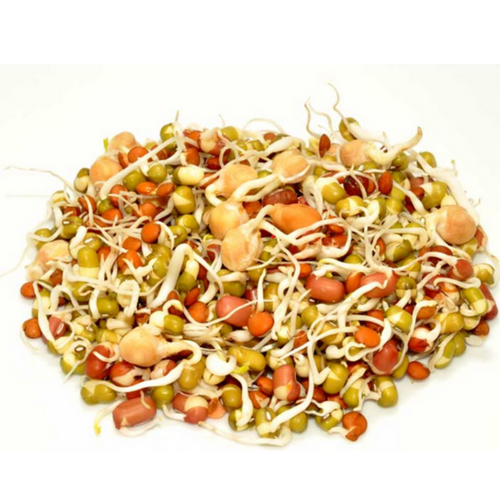 Sprouting seeds, Microgreen Seeds, Seeds for Sprouts, Salad Seeds, Micro green leaf