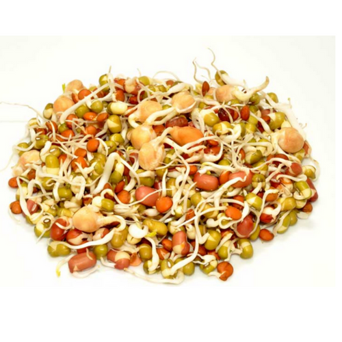Sprouting seeds, Microgreen Seeds, Seeds for Sprouts, Salad Seeds, Micro green leaf