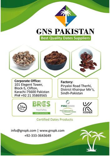 GNS PROFILE