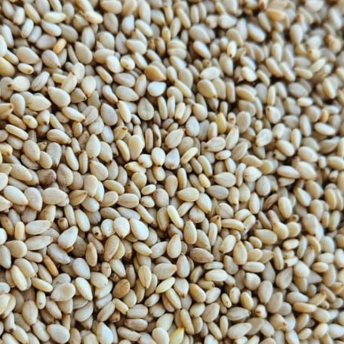 Sesame Seeds