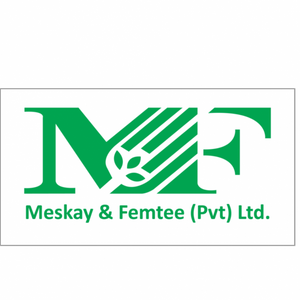 Meskay & Femtee (Pvt) Ltd