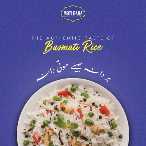 Motidana - Catalogue