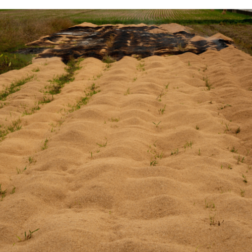 Rice Husk (Animal Feed)