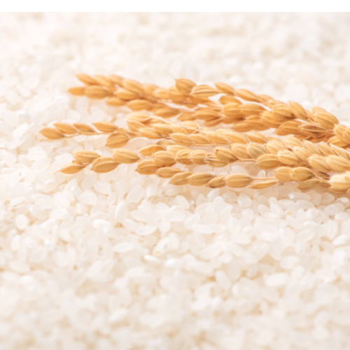 Mprri Rice Richeria Rice Irri 9 - Gulfood 2026