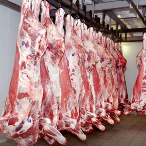 Fresh/ Chilled Beef, Mutton and Lamb