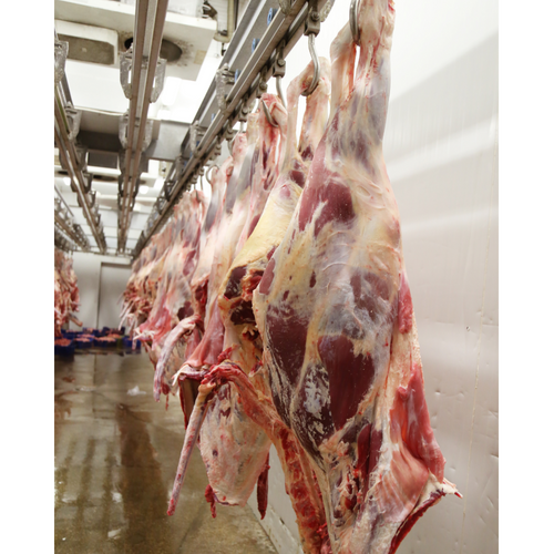 Fresh/ Chilled Beef, Mutton and Lamb