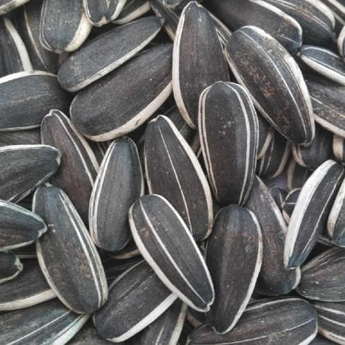 sunflower seeds