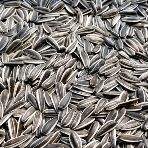 sunflower seeds