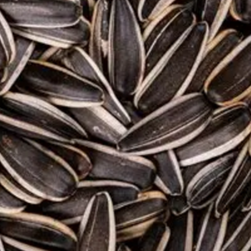 sunflower seeds