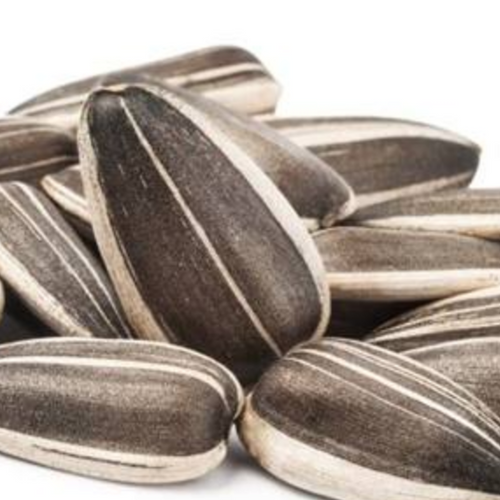 Sunflower seeds
