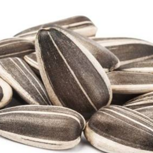 Sunflower seeds