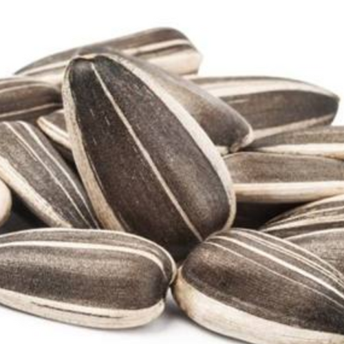 Sunflower seeds