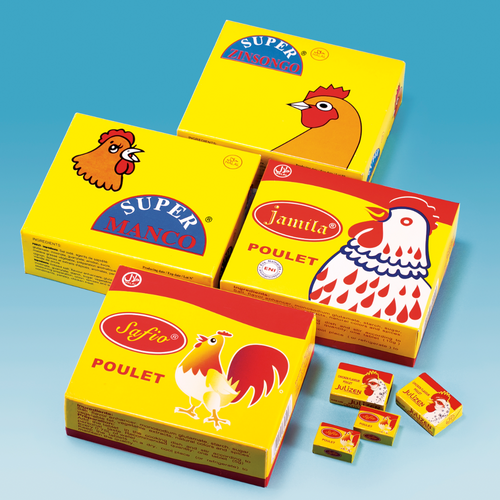 Seasoning cube and powder