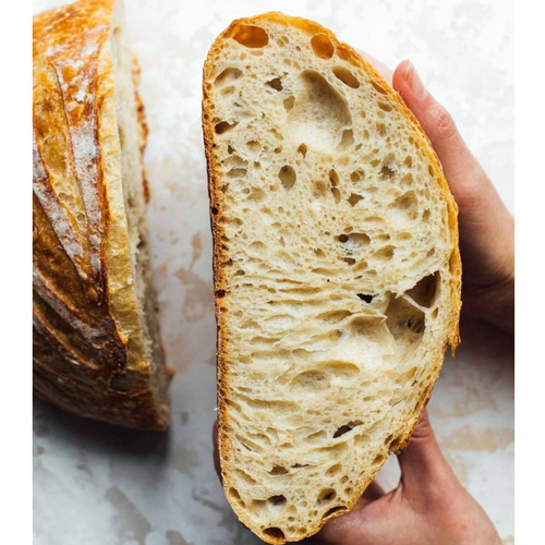 Instant Dry Yeast 500g low sugar & high sugar yeast for bakery