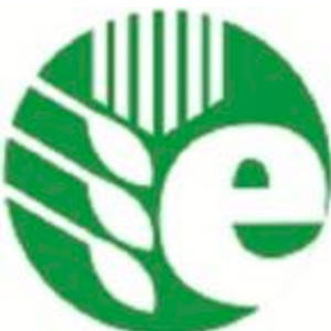 Qingdao Ever Green Trading Co., Ltd.