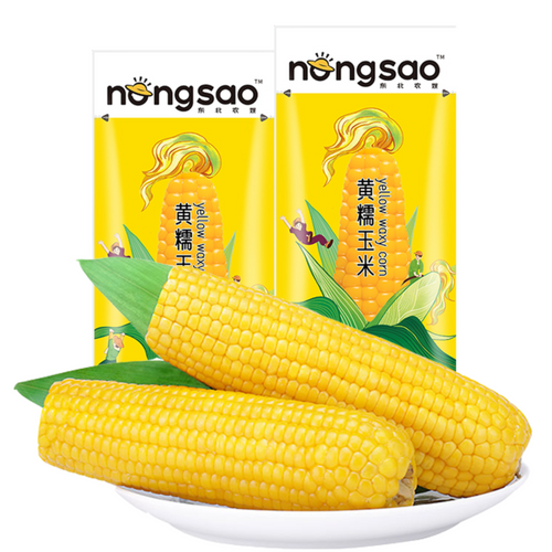 Vacuum Packed Yellow Waxy Corn Single Cob