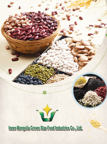 BOOST YOUR BUSSINESS WITH CROWN STAR FOOD INDUSTRIES