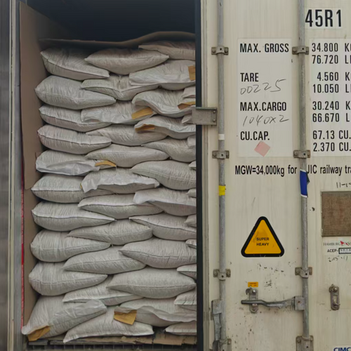 Snow White Pumpkin Seeds