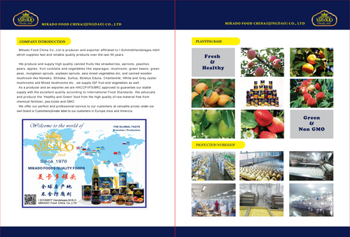 Mikado Food China Co.,Ltd
