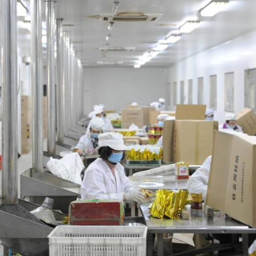 CHINA GREEN TEA GUNPOWDER TEA 3505