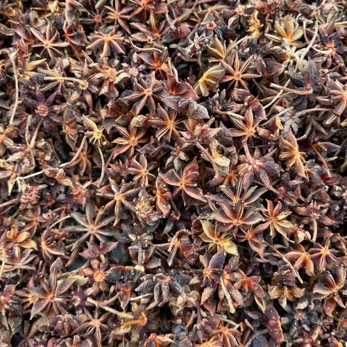 China Hot Sale Spice Top Grade Chinese Star Anise