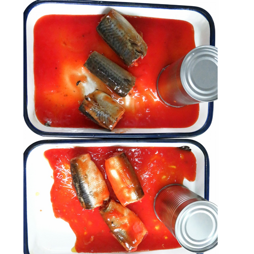 canned sardine