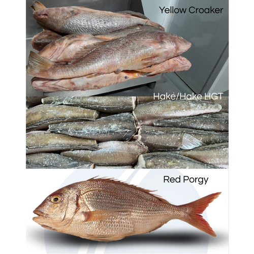 Frozen Fish & Seafood