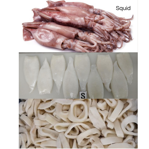 Frozen Fish & Seafood