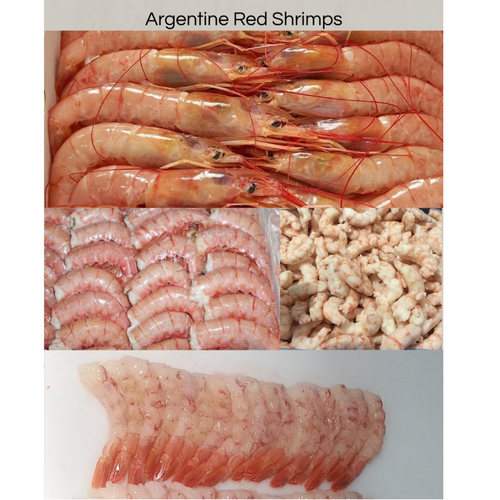 Frozen Fish & Seafood