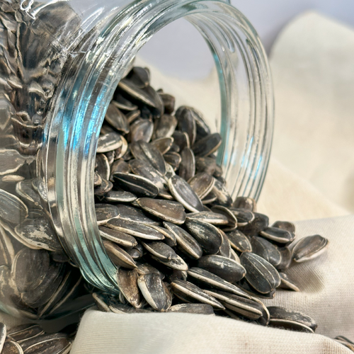 Confection Sunflower