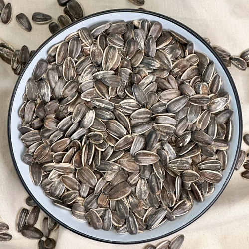 Confection Sunflower