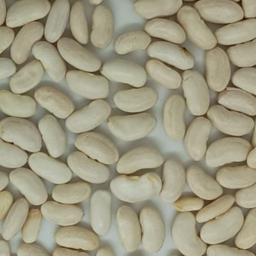 Alubia Beans