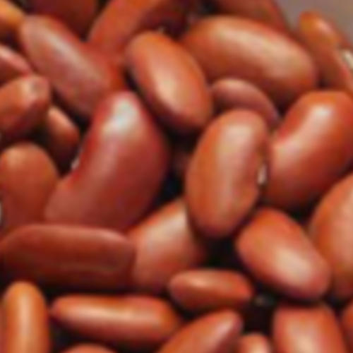 Light Red Kidney Beans