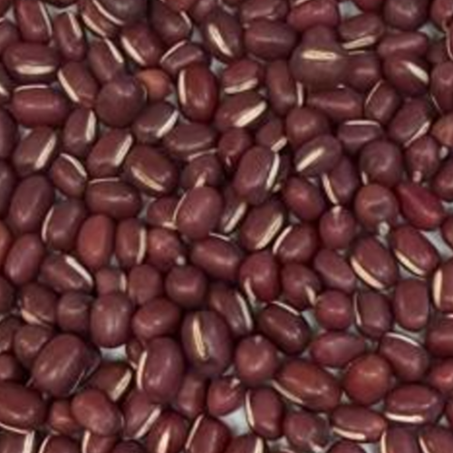Adzuki Beans