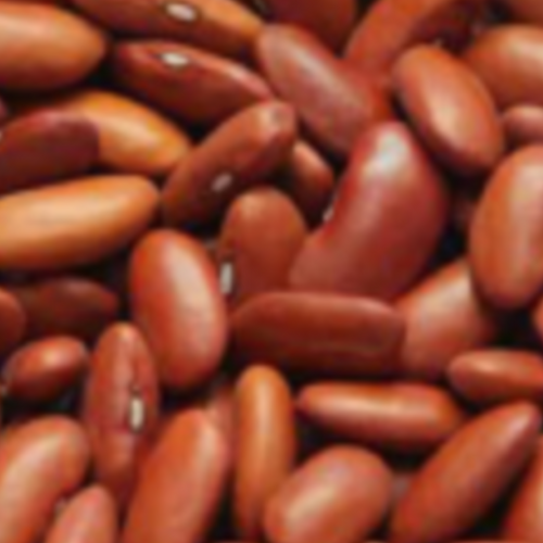 Light Red Kidney Beans